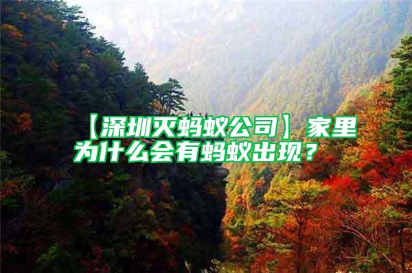 【深圳滅螞蟻公司】家里為什么會有螞蟻出現(xiàn)？
