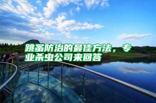 跳蚤防治的最佳方法，專業(yè)殺蟲公司來(lái)回答