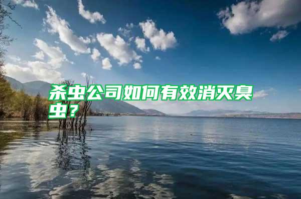 殺蟲公司如何有效消滅臭蟲？