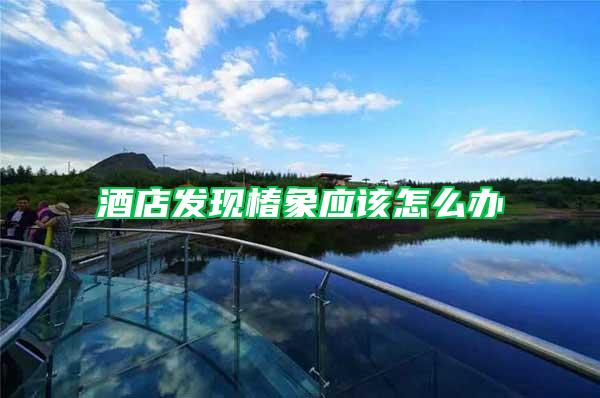 酒店發(fā)現(xiàn)椿象應(yīng)該怎么辦