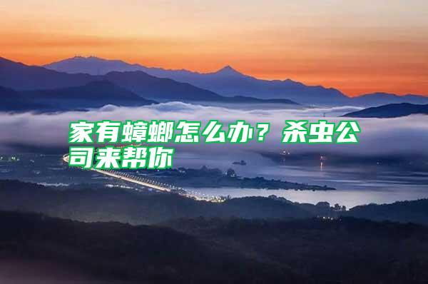 家有蟑螂怎么辦？殺蟲公司來幫你