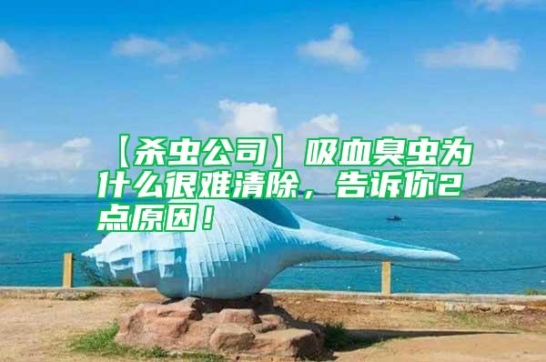 【殺蟲公司】吸血臭蟲為什么很難清除，告訴你2點原因！