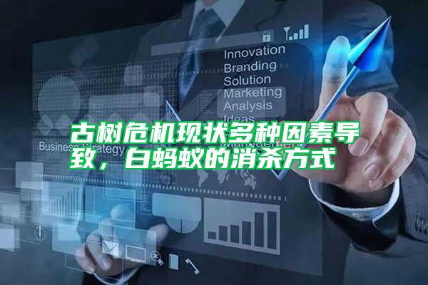 古樹危機現(xiàn)狀多種因素導致，白螞蟻的消殺方式