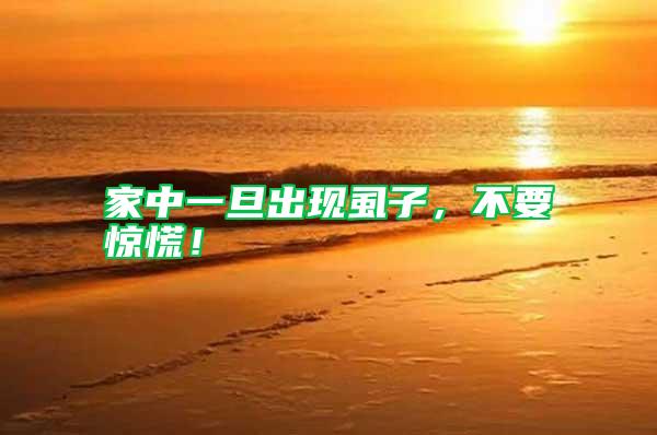 家中一旦出現虱子，不要驚慌！