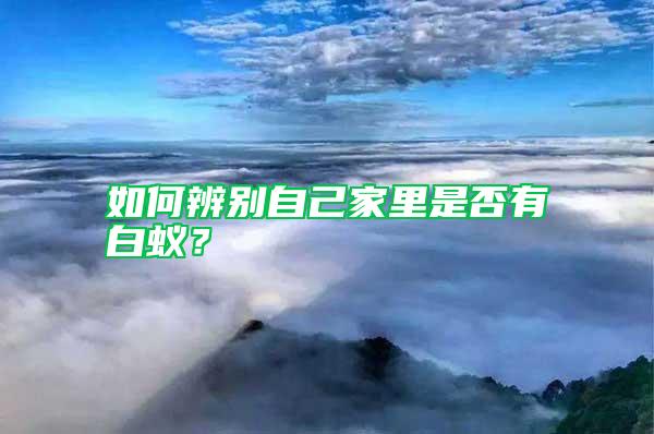 如何辨別自己家里是否有白蟻？