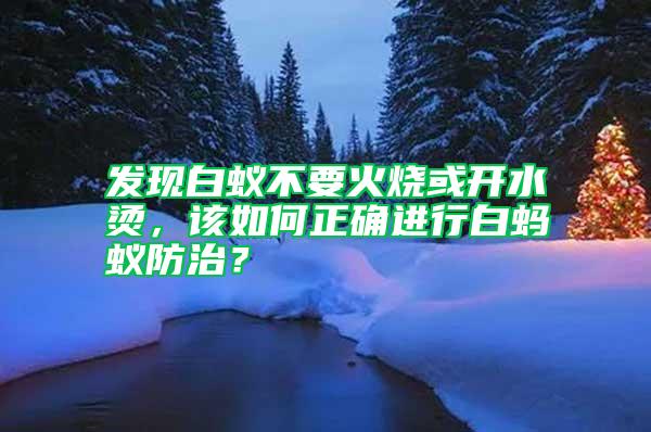 發現白蟻不要火燒或開水燙，該如何正確進行白螞蟻防治？