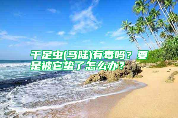 千足蟲(馬陸)有毒嗎？要是被它蟄了怎么辦？