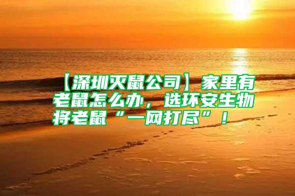 【深圳滅鼠公司】家里有老鼠怎么辦，選環安生物將老鼠“一網打盡”！