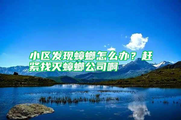 小區發現蟑螂怎么辦？趕緊找滅蟑螂公司啊