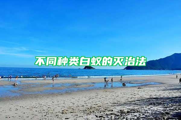 不同種類(lèi)白蟻的滅治法