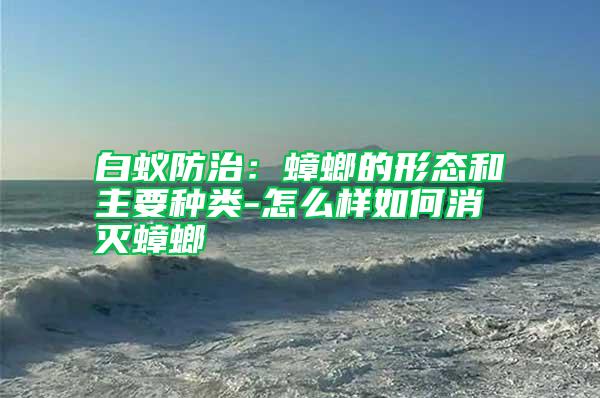 白蟻防治:蟑螂的形態和主要種類-怎么樣如何消滅蟑螂