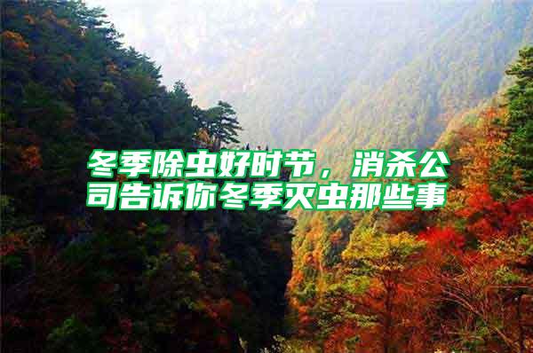 冬季除蟲好時節(jié)，消殺公司告訴你冬季滅蟲那些事