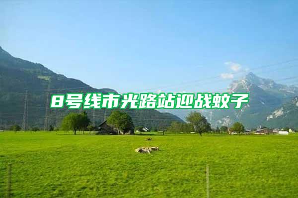 8號線市光路站迎戰(zhàn)蚊子