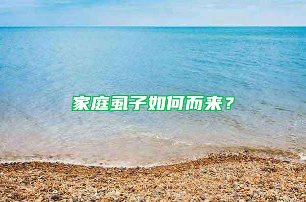 家庭虱子如何而來？