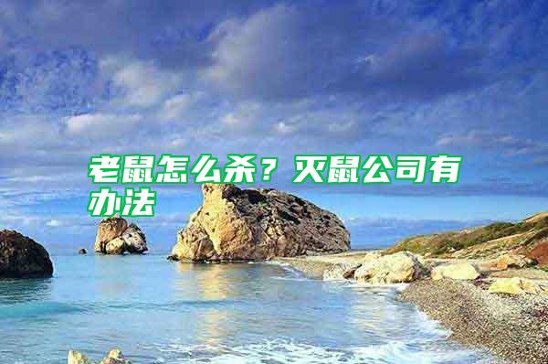 老鼠怎么殺？滅鼠公司有辦法