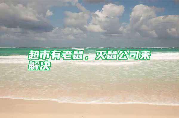 超市有老鼠，滅鼠公司來解決