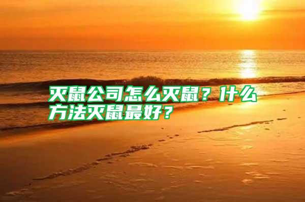 滅鼠公司怎么滅鼠？什么方法滅鼠最好？