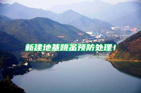 新建地基跳蚤預防處理！