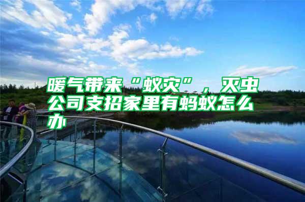 暖氣帶來“蟻災”，滅蟲公司支招家里有螞蟻怎么辦