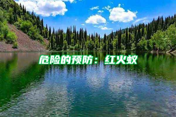 危險(xiǎn)的預(yù)防：紅火蟻