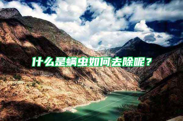 什么是螨蟲如何去除呢？
