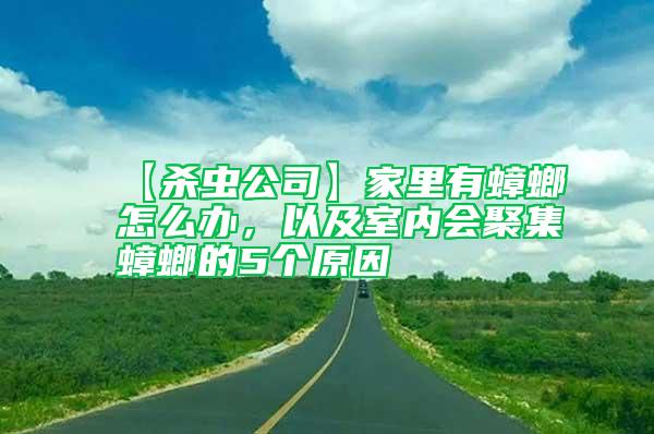 【殺蟲公司】家里有蟑螂怎么辦，以及室內會聚集蟑螂的5個原因