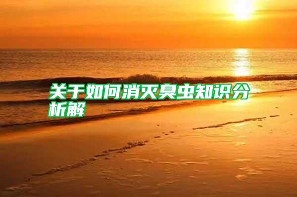 關(guān)于如何消滅臭蟲知識(shí)分析解
