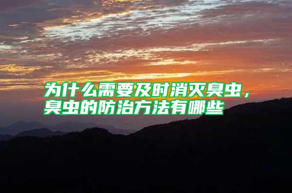 為什么需要及時消滅臭蟲，臭蟲的防治方法有哪些