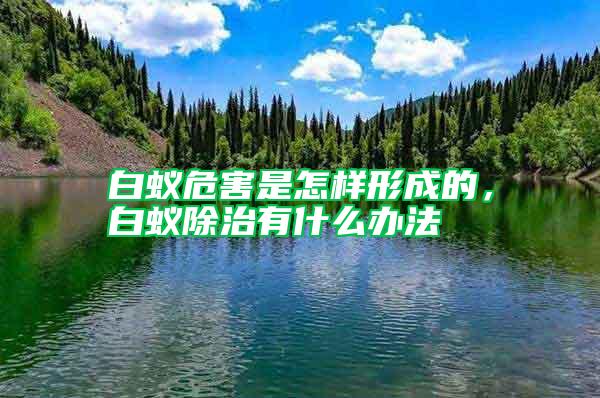 白蟻危害是怎樣形成的，白蟻除治有什么辦法