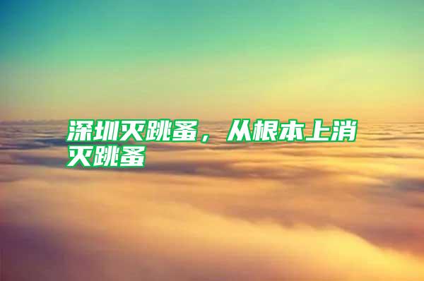 深圳滅跳蚤，從根本上消滅跳蚤