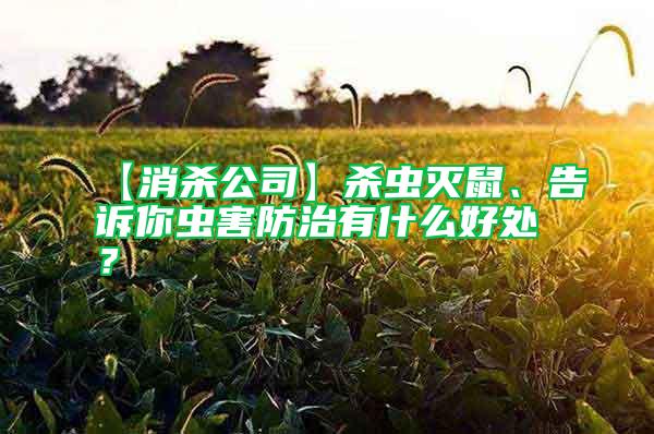 【消殺公司】殺蟲(chóng)滅鼠、告訴你蟲(chóng)害防治有什么好處？