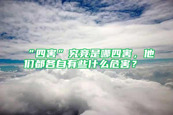 “四害”究競是哪四害，他們都各自有些什么危害？