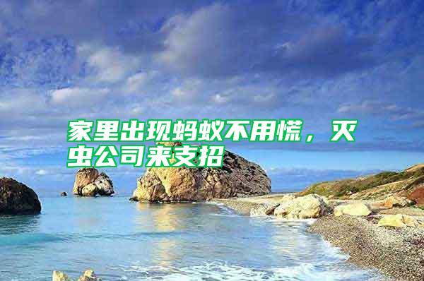 家里出現(xiàn)螞蟻不用慌，滅蟲公司來支招