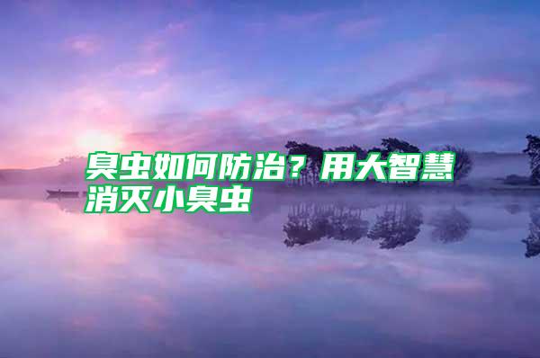 臭蟲如何防治？用大智慧消滅小臭蟲