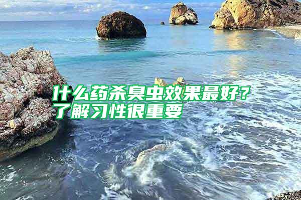什么藥殺臭蟲效果最好？了解習性很重要