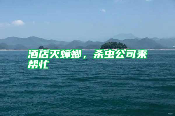 酒店滅蟑螂，殺蟲公司來幫忙