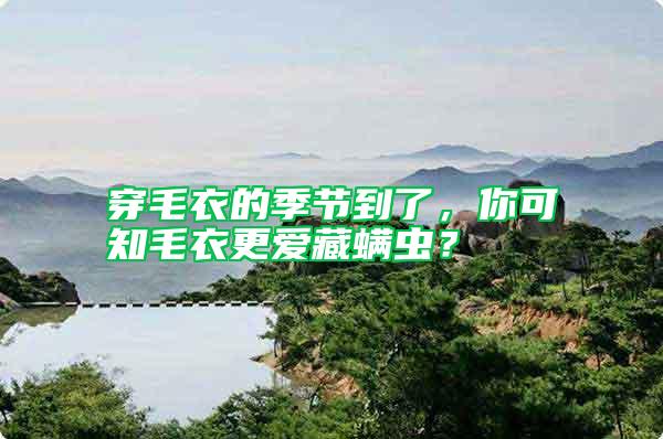 穿毛衣的季節到了，你可知毛衣更愛藏螨蟲？