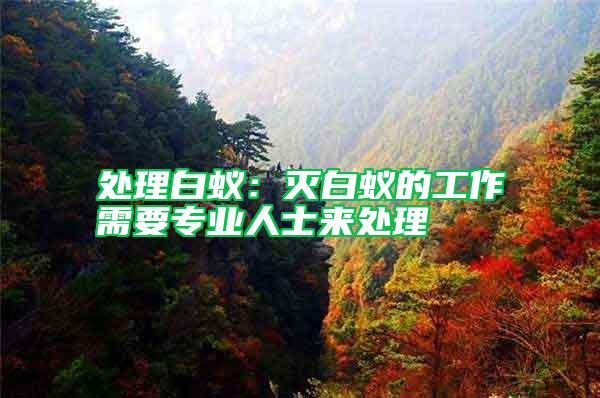 處理白蟻：滅白蟻的工作需要專業(yè)人士來處理