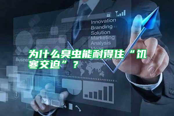 為什么臭蟲能耐得住“饑寒交迫”？
