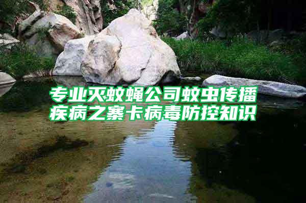 專(zhuān)業(yè)滅蚊蠅公司蚊蟲(chóng)傳播疾病之寨卡病毒防控知識(shí)