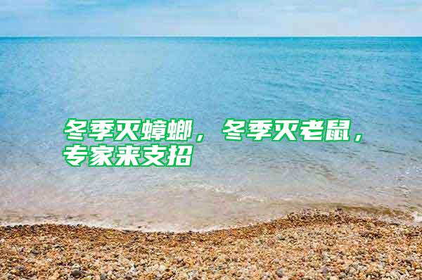 冬季滅蟑螂，冬季滅老鼠，專家來(lái)支招