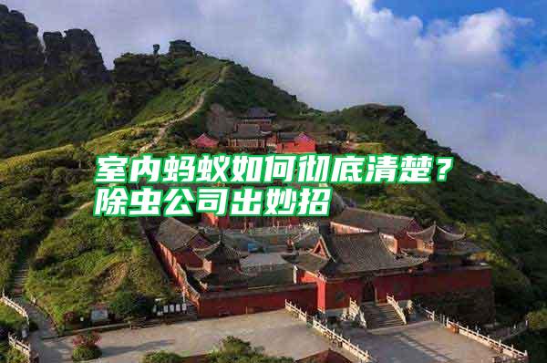 室內螞蟻如何徹底清楚？除蟲公司出妙招