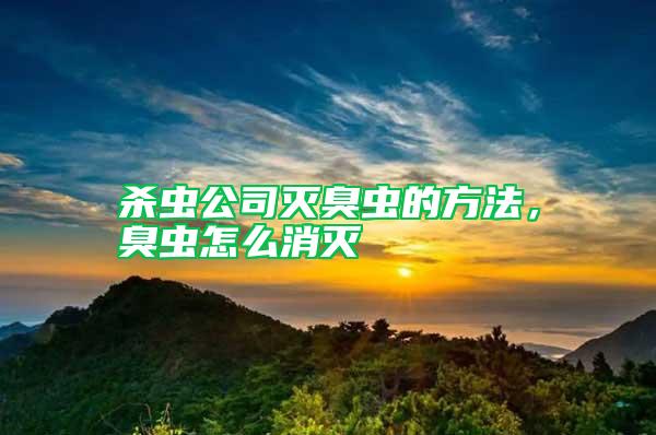 殺蟲公司滅臭蟲的方法，臭蟲怎么消滅