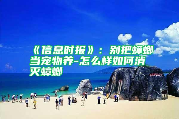 《信息時報》：別把蟑螂當(dāng)寵物養(yǎng)-怎么樣如何消滅蟑螂