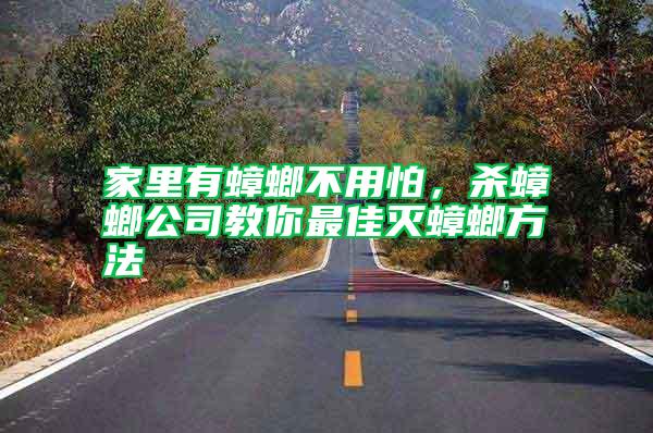 家里有蟑螂不用怕，殺蟑螂公司教你最佳滅蟑螂方法