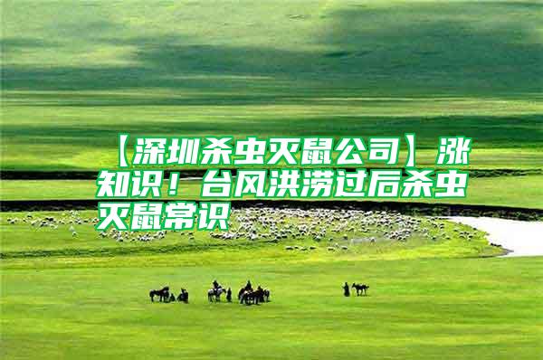 【深圳殺蟲滅鼠公司】漲知識！臺風洪澇過后殺蟲滅鼠常識