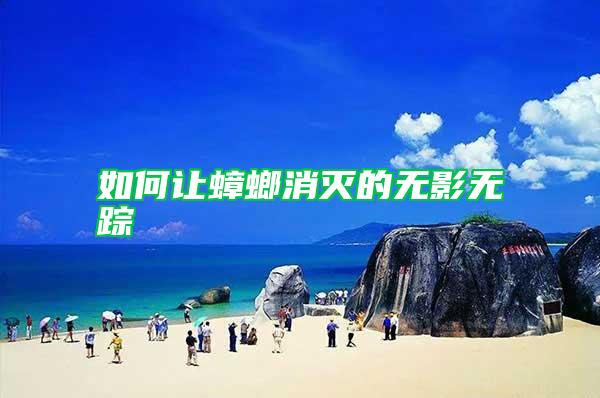 如何讓蟑螂消滅的無(wú)影無(wú)蹤