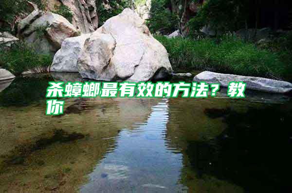 殺蟑螂最有效的方法？教你