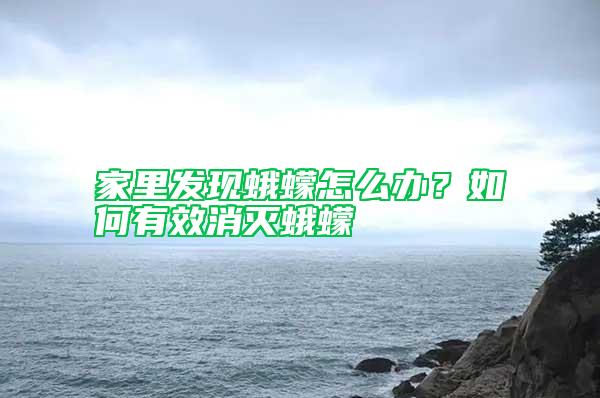 家里發現蛾蠓怎么辦?如何有效消滅蛾蠓