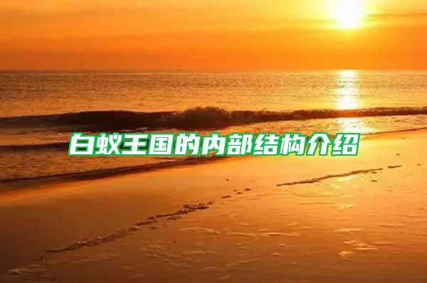 白蟻王國的內(nèi)部結(jié)構(gòu)介紹